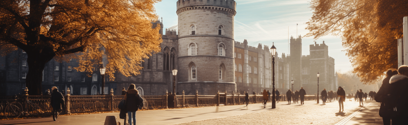 VAT in Ireland guide