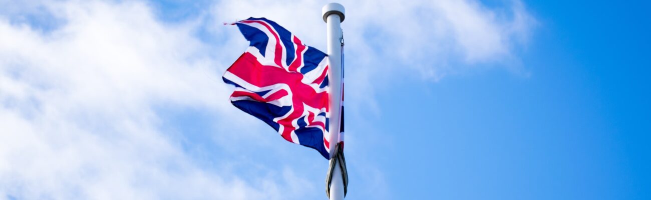 pexels-bernadett-varga-44498341