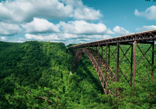 dizainas-be-pavadinimo-18