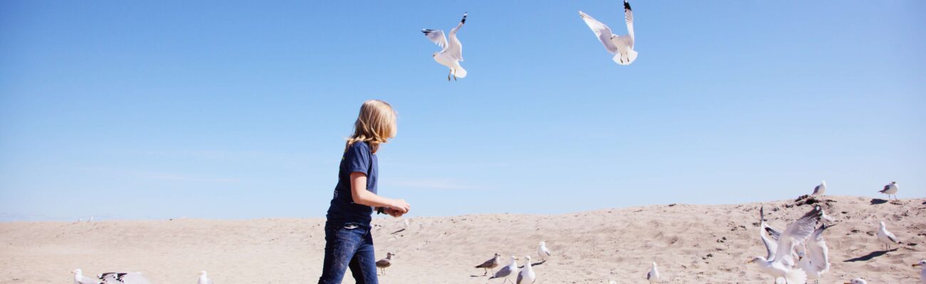 refund-of-vat-on-amazon-fba