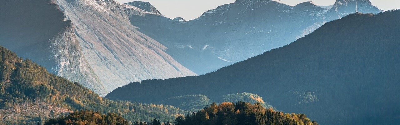 harmonising-reporting-and-e-invoicing-in-the-eu-planned-amendments-in-2022