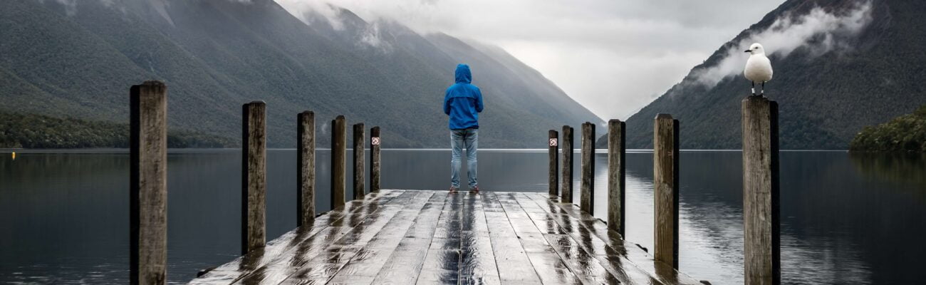 august-insights-e-invoicing-in-romania-and-germany-and-vat-changes-in-fiji