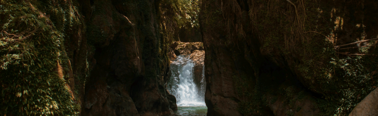 A jungle waterfall with a small stream flowing through lush greenery