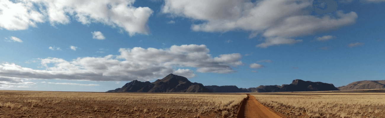 A dirt road winds through a wide, open plain, with tall grass swaying gently and hills in the distance, all under a bright, cloudless sky.