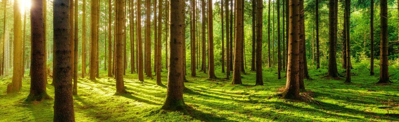 Shopify - Sales Tax Compliance for Remote Vendors and Marketplace Facilitator Framework from 2025