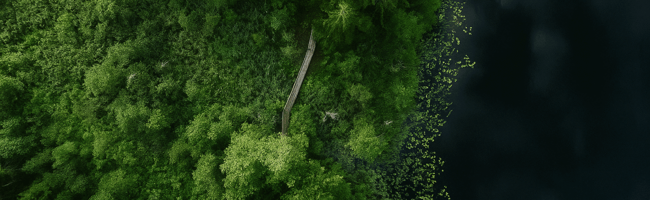 Etsy sellers VAT compliance