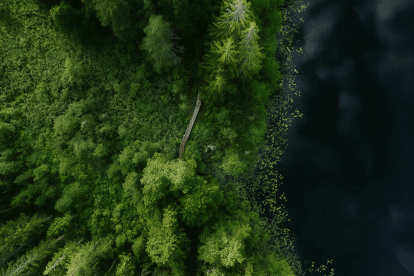 Etsy sellers VAT compliance