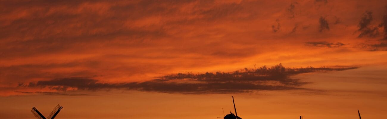 Bol.com Opens Marketplace to Non-EU Sellers in 2025